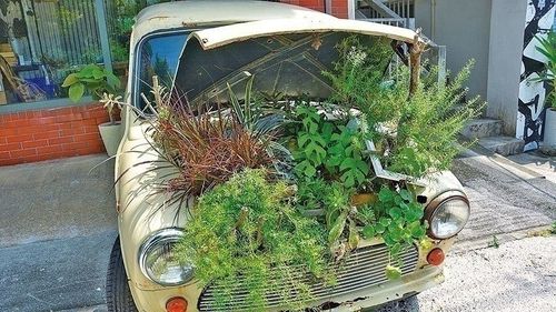 草ボーボー車1.jpg